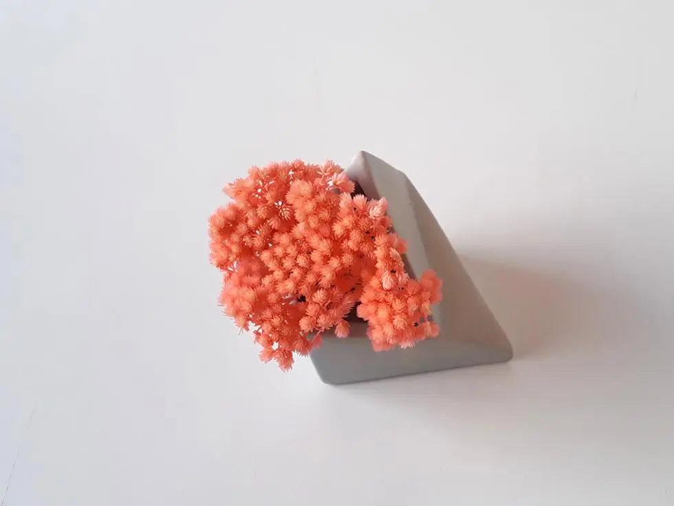 geometric_pots.10