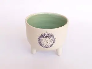 Bol patas pez globo verde
