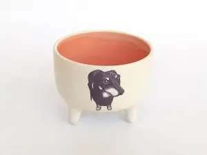 Bol patas tekel rosa
